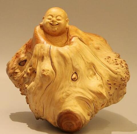 未來彌勒佛與根魂崖柏的前世今生