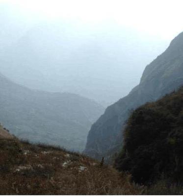 深山驚現(xiàn)300公斤崖柏，村民冒險(xiǎn)采挖引發(fā)關(guān)注