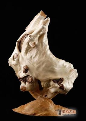 崖柏靈韻，琴心相印——品析太行崖柏《伯牙撫琴》