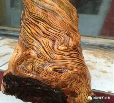 崖柏能否升值？關鍵就看這五點！